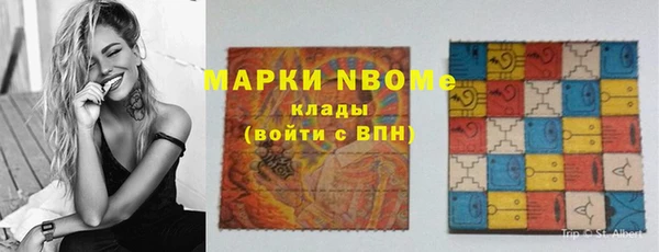 шишки Гусь-Хрустальный