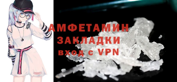 шишки Гусь-Хрустальный