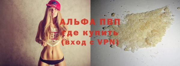 шишки Гусь-Хрустальный