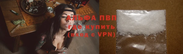 шишки Гусь-Хрустальный