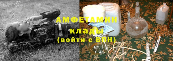 шишки Гусь-Хрустальный