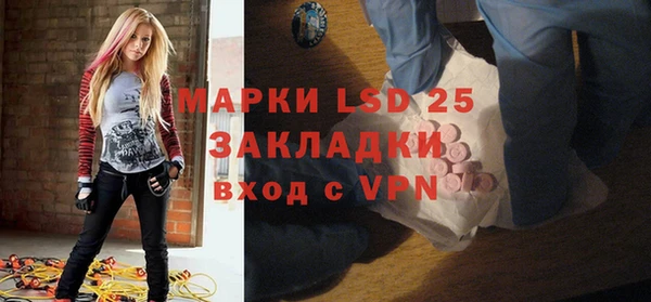 шишки Гусь-Хрустальный